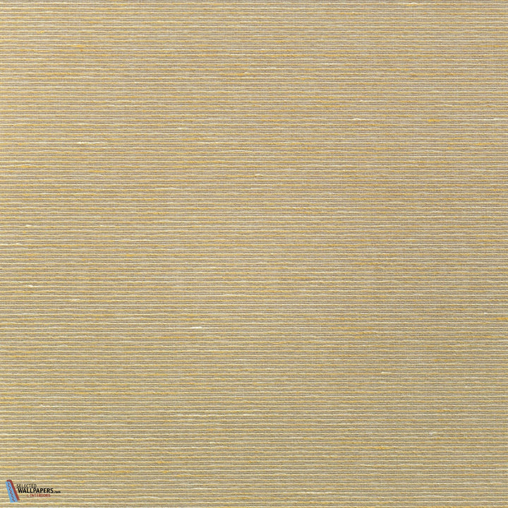 Aditi-Vescom-25-Meter (M1)-Selected-Wallpapers-Interiors