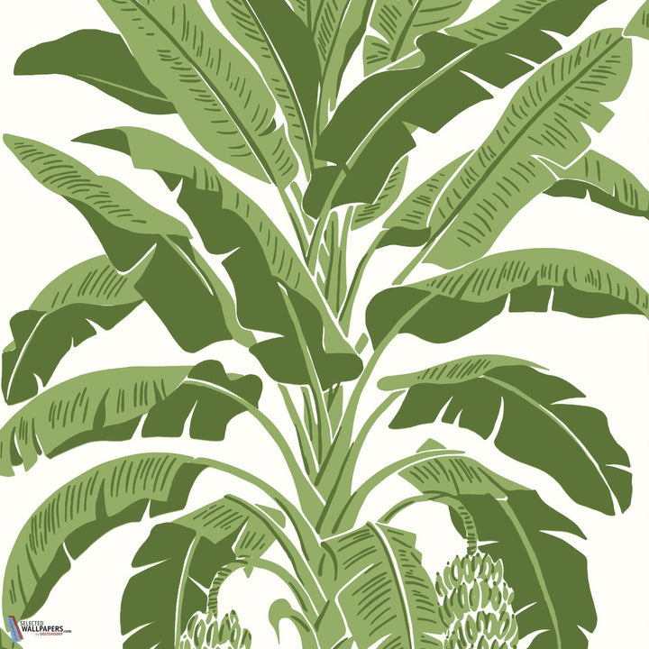 Banana Tree-Behang-Tapete-Thibaut-Green-Rol-T13914-Selected Wallpapers
