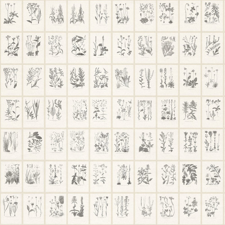 Botanica behang-Sandberg-Graphite-Mattic-M2-Selected Wallpapers-Interiors