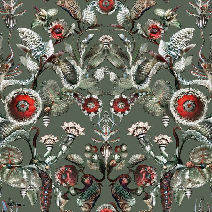 Coccinella Bella-Moooi-behang-tapete-wallpaper-Sage Green-Meter (M1)-Selected-Wallpapers-Interiors