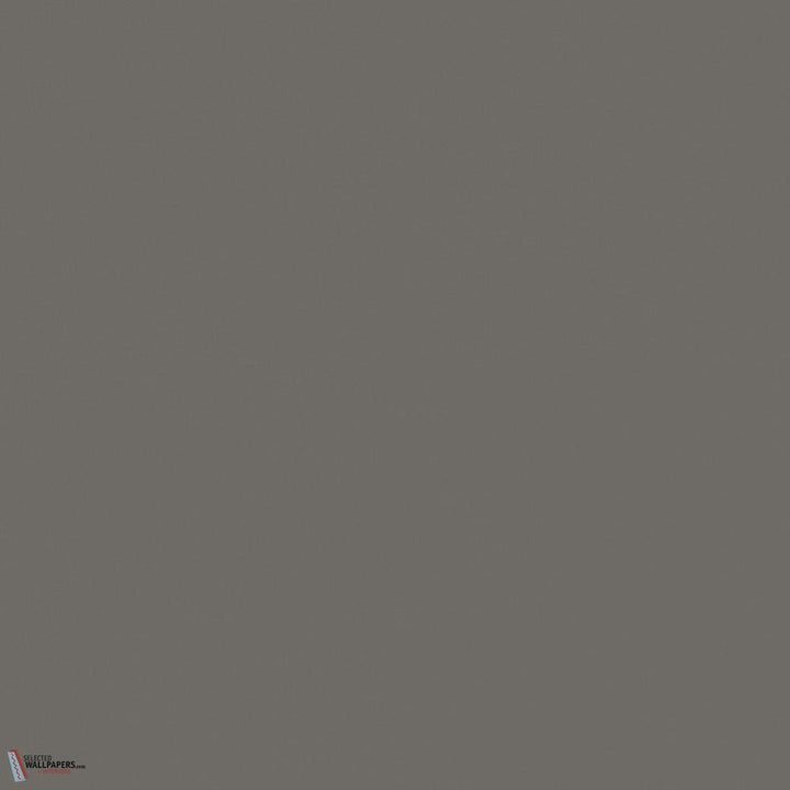 Dark Lead Colour verf Little Greene 118-Selected-Wallpapers-Interiors