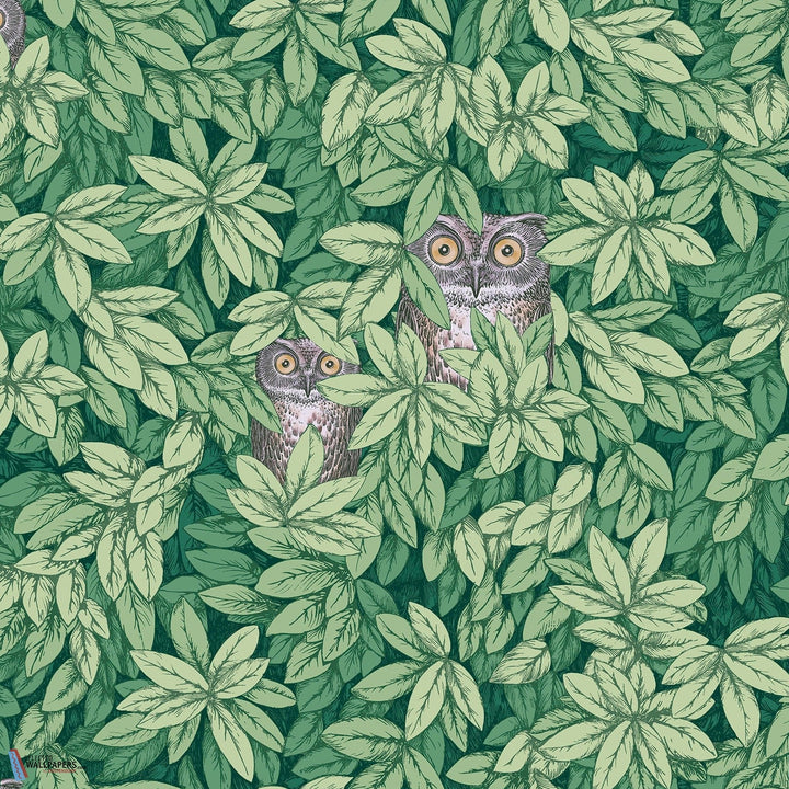 Foglie e Civette-behang-Tapete-Cole & Son-Forest Green-Rol-123/11054-Selected Wallpapers