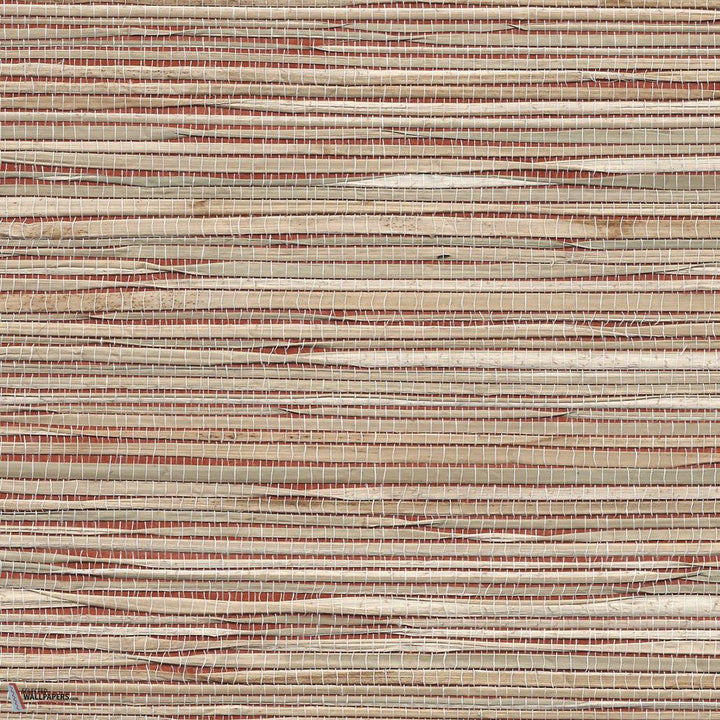 Grass Roots-Phillip Jeffries-wallpaper-behang-Tapete-wallpaper-Reka's Red-Rol-Selected Wallpapers