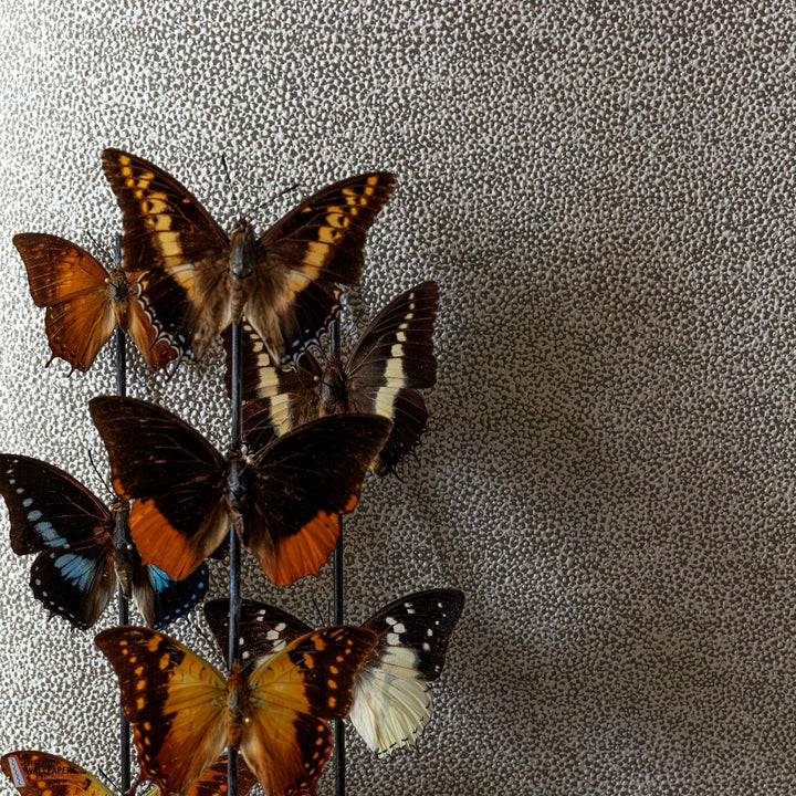 Iguana behang-Masureel-wallpaper-tapete-Selected-Wallpapers-Interiors