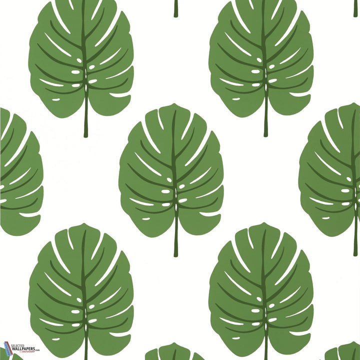 Monstera-Behang-Tapete-Thibaut-Green-Rol-T13952-Selected Wallpapers