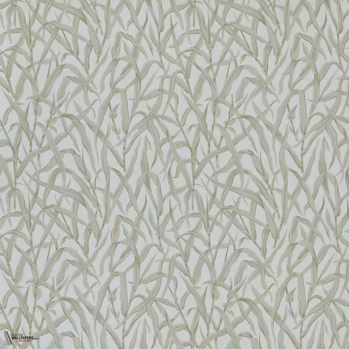 Ornamental Grasses behang-1838 wallcoverings-Selected Wallpapers &amp; Interiors