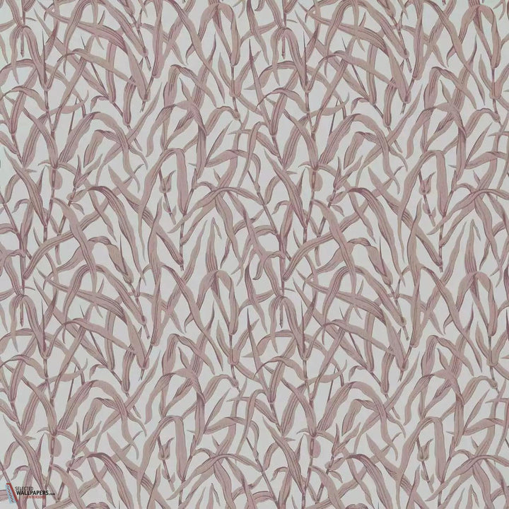 Ornamental Grasses behang-1838 wallcoverings-Selected Wallpapers &amp; Interiors