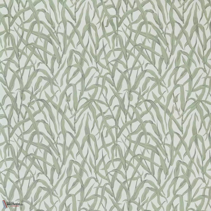 Ornamental Grasses behang-1838 wallcoverings-Selected Wallpapers &amp; Interiors