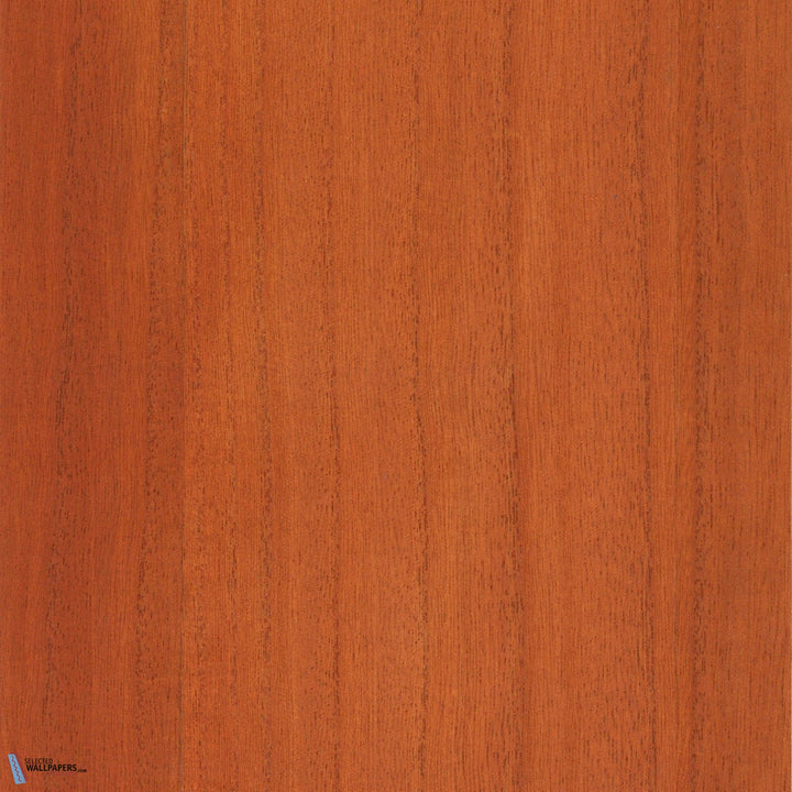 Paulownia-behang-Tapete-Greenland-Raw Sienna-Meter (M1)-G0165NV1040-Selected Wallpapers