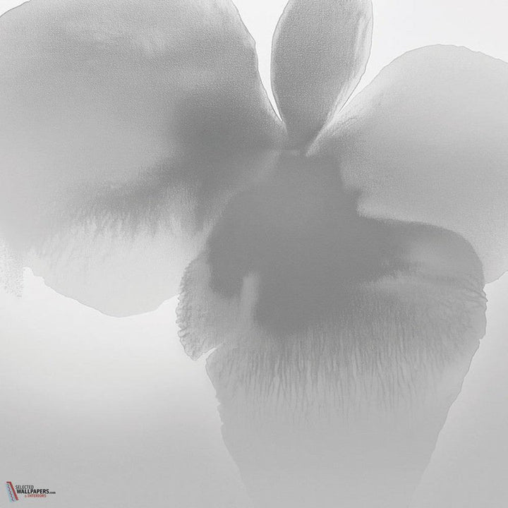 Petal Glow behang-behang-LondonArt-2-RAW-S120-M2-Selected Wallpapers &amp; Interiors