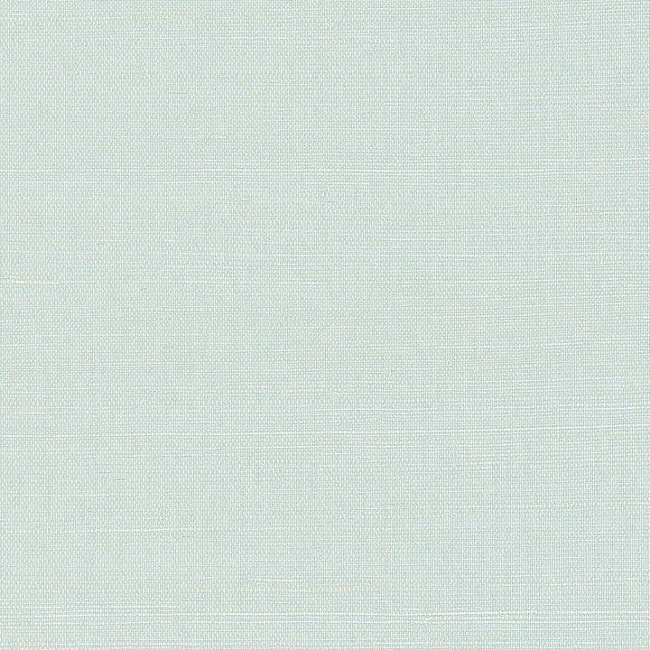 Shang Extra Fine Sisal-Thibaut-Soft Fern-Rol-Selected-Wallpapers-Interiors