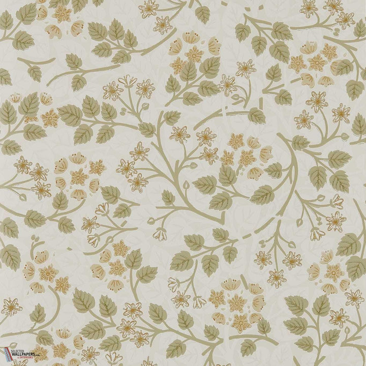 Silver lime behang-Sanderson-Lichen-Rol-Selected Wallpapers-Interiors