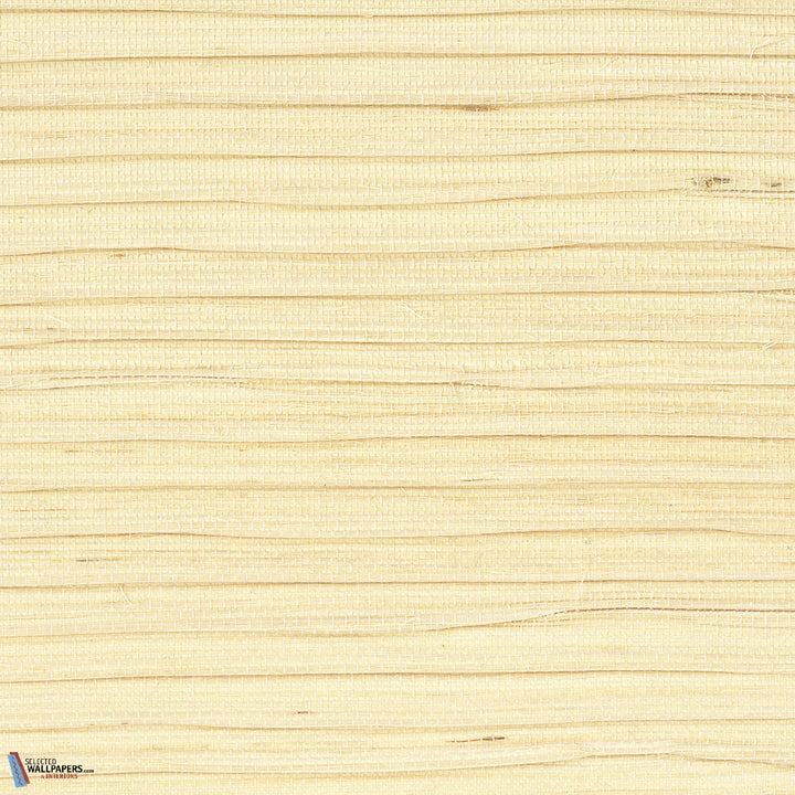 Sisal Plissé-CMO Paris-wallpaper-behang-Tapete-wallpaper-Ivoire-Meter (M1)-Selected Wallpapers