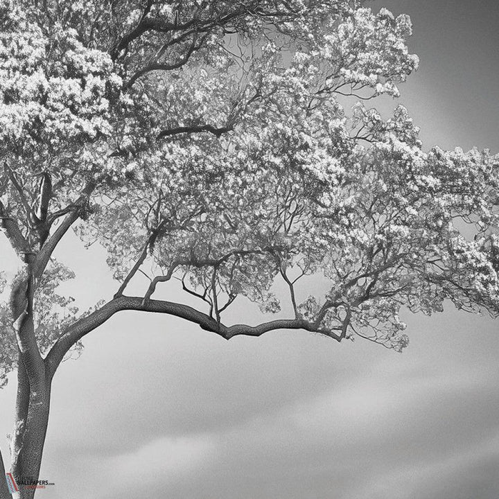 The Silent Witness behang-behang-LondonArt-1-RAW-S120-M2-Selected Wallpapers &amp; Interiors