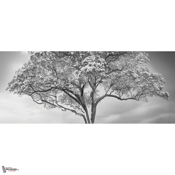 The Silent Witness behang-behang-LondonArt-Selected Wallpapers &amp; Interiors