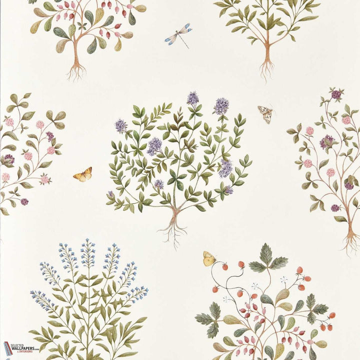 Thyme walk behang-Sanderson-Damson & Quince-Rol-Selected Wallpapers-Interiors