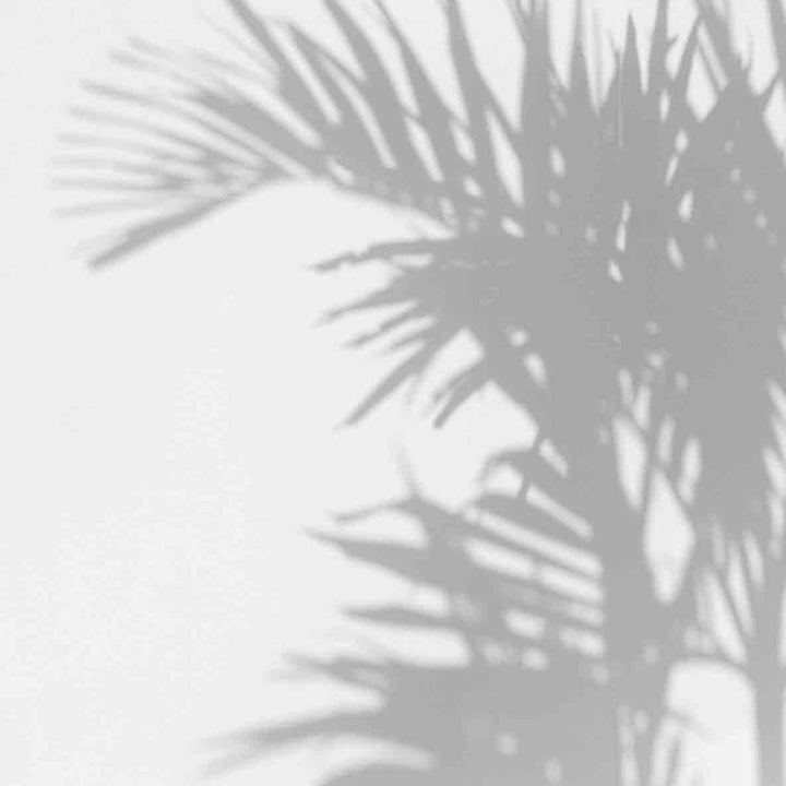 Palm Shadow behang-behang-Les Dominotiers-Grey-Non Woven 70 cm-M2-Selected Wallpapers &amp; Interiors