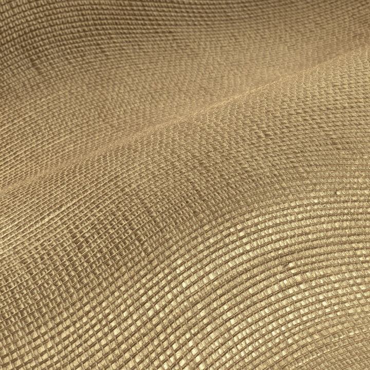 Kota behang Casamance