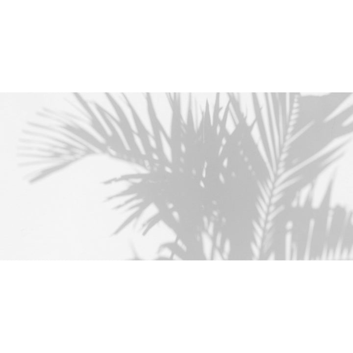 Palm Shadow behang-behang-Les Dominotiers-Selected Wallpapers &amp; Interiors