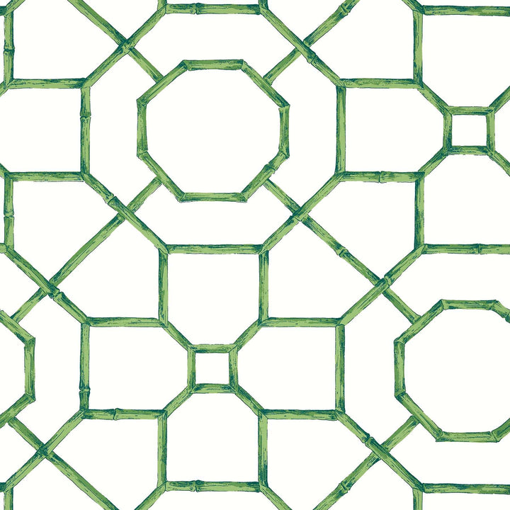 Arbor-Behang-Tapete-Thibaut-Emerald-Rol-T13677-Selected Wallpapers