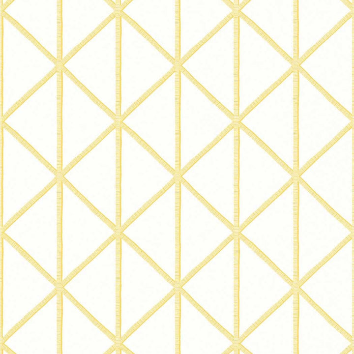Box Kite-Behang-Tapete-Thibaut-Selected Wallpapers