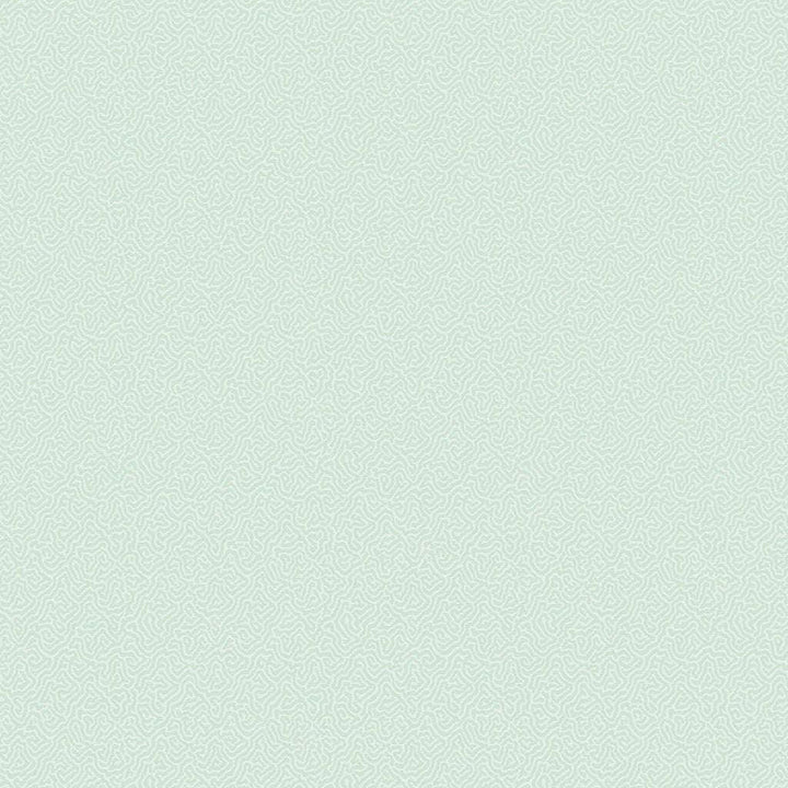 Coral-Behang-Tapete-Cole & Son-Duck Egg-Rol-106/5065-Selected Wallpapers