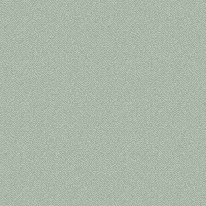 Coral-Behang-Tapete-Cole & Son-Dark Duck Egg-Rol-106/5066-Selected Wallpapers