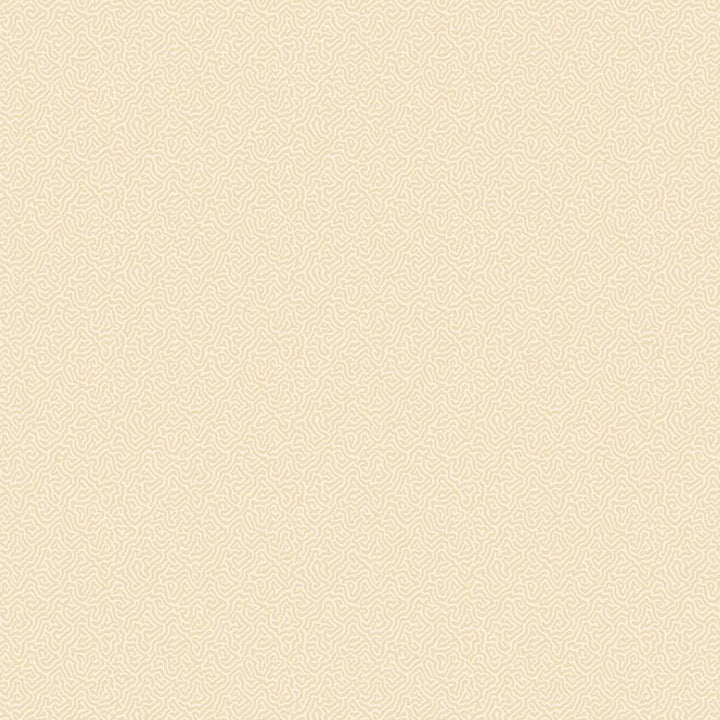 Coral-Behang-Tapete-Cole & Son-Cream-Rol-106/5068-Selected Wallpapers
