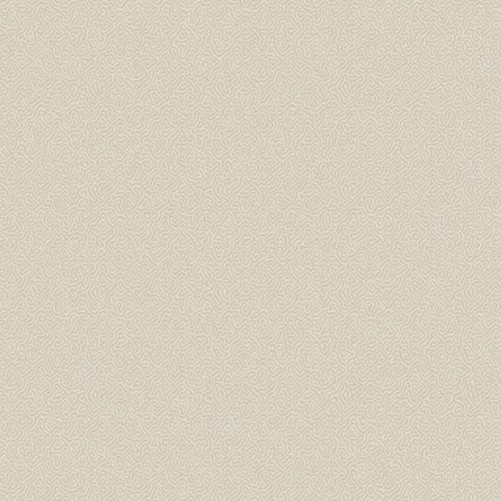 Coral-Behang-Tapete-Cole & Son-Stone-Rol-106/5072-Selected Wallpapers