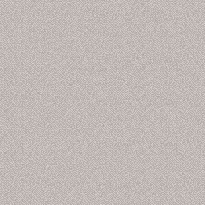 Coral-Behang-Tapete-Cole & Son-Grey-Rol-106/5073-Selected Wallpapers
