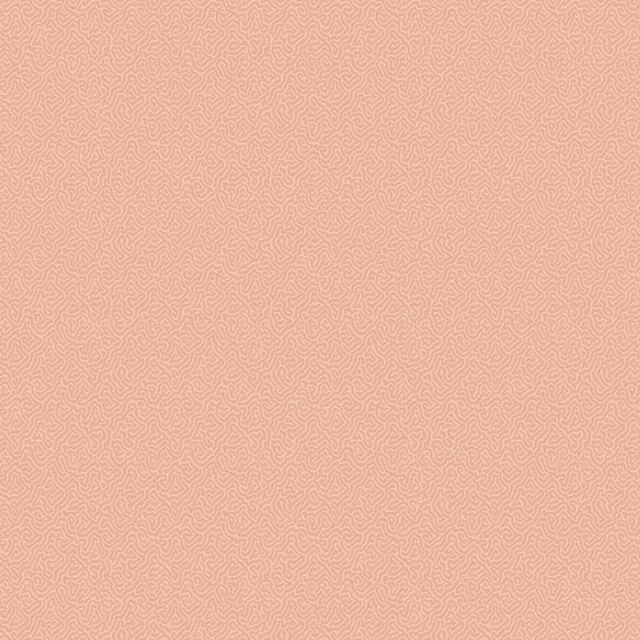 Coral-Behang-Tapete-Cole & Son-Coral-Rol-106/5075-Selected Wallpapers