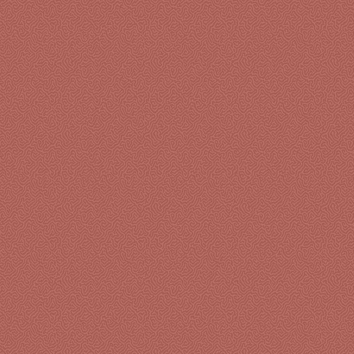 Coral-Behang-Tapete-Cole & Son-Red-Rol-106/5076-Selected Wallpapers