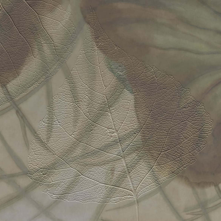 Gaia-Behang-Tapete-Glamora-1B-GlamDecor-GLXII271B-Selected Wallpapers