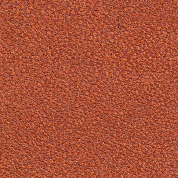 Galuchat-behang-Tapete-Elitis-26-Rol-VP 421 26-Selected Wallpapers