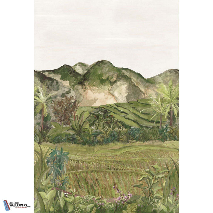 Hapao-Behang-Tapete-Casamance-Selected Wallpapers