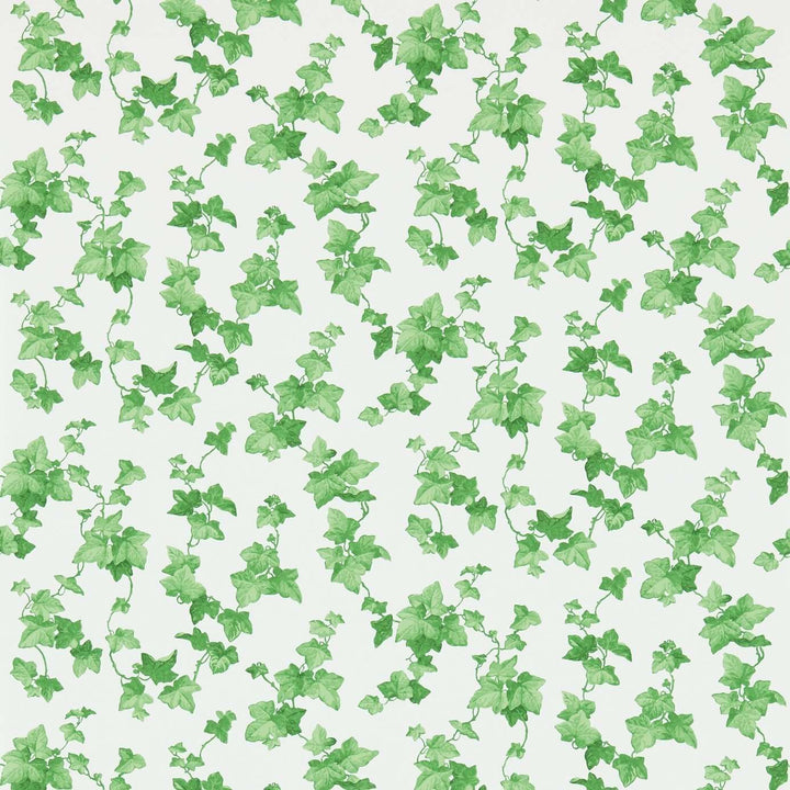 Hedera-behang-Tapete-Sanderson-Selected Wallpapers