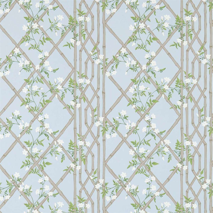 Jasmine Lattice-behang-Tapete-Zoffany-Sky-Rol-311332-Selected Wallpapers