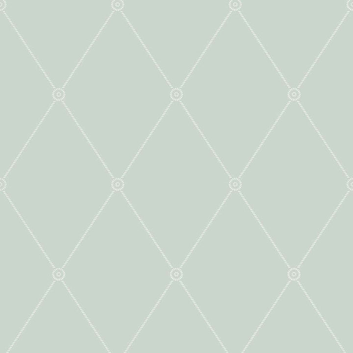 Large Georgian Rope Trellis-Behang-Tapete-Cole & Son-Duck Egg-Rol-100/13066-Selected Wallpapers
