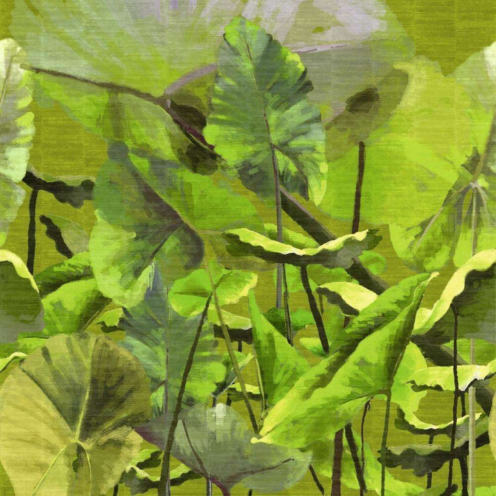 Lost in Plantation-behang-Tapete-Elitis-1-Rol-VP 429 01-Selected Wallpapers