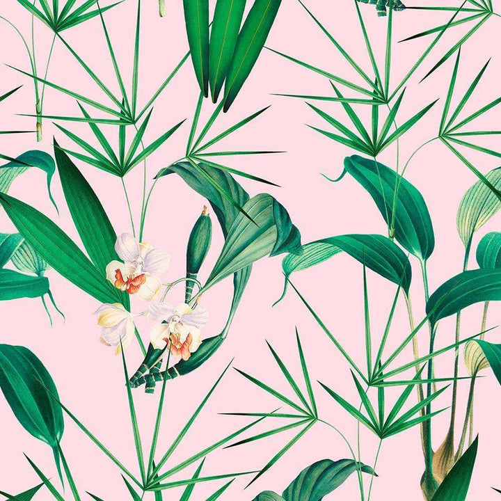 Palm Springs-behang-Tapete-Mind the Gap-Roze-300 cm (standaard)-WP20361-Selected Wallpapers