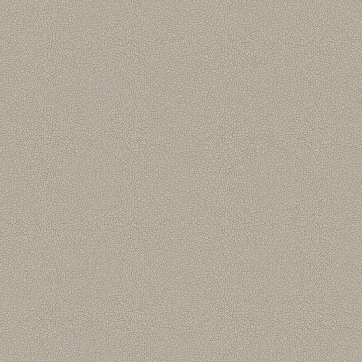Pebble-Behang-Tapete-Cole & Son-Shell-Rol-106/2016-Selected Wallpapers