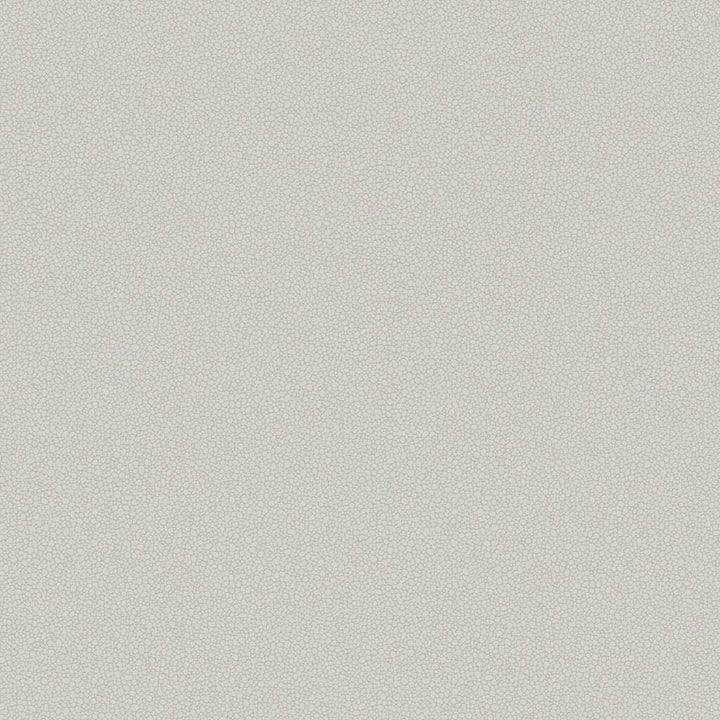 Pebble-Behang-Tapete-Cole & Son-Grey-Rol-106/2017-Selected Wallpapers