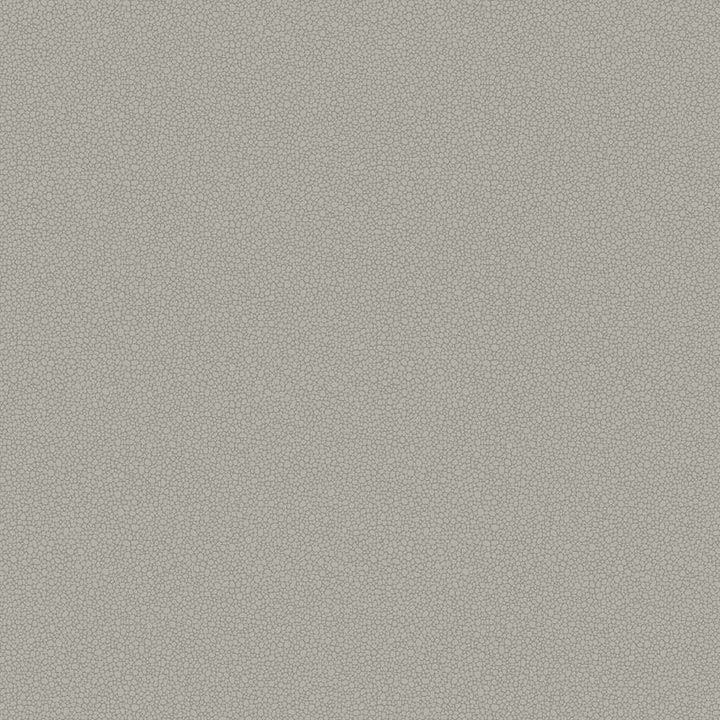 Pebble-Behang-Tapete-Cole & Son-Dark Grey-Rol-106/2018-Selected Wallpapers