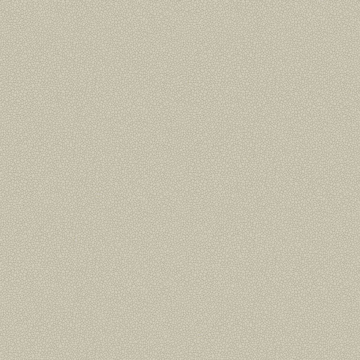 Pebble-Behang-Tapete-Cole & Son-Safari-Rol-106/2019-Selected Wallpapers