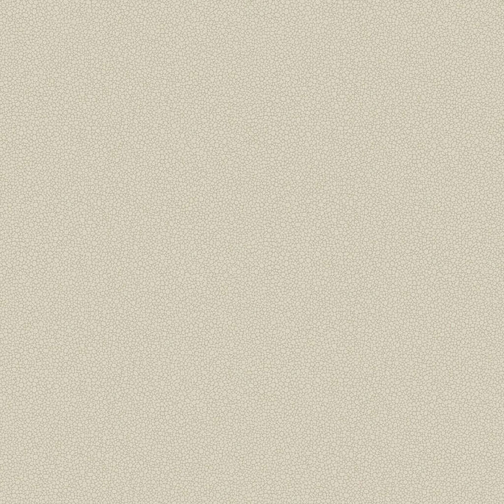 Pebble-Behang-Tapete-Cole & Son-Stone-Rol-106/2022-Selected Wallpapers