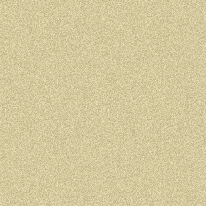 Pebble-Behang-Tapete-Cole & Son-Oat-Rol-106/2024-Selected Wallpapers