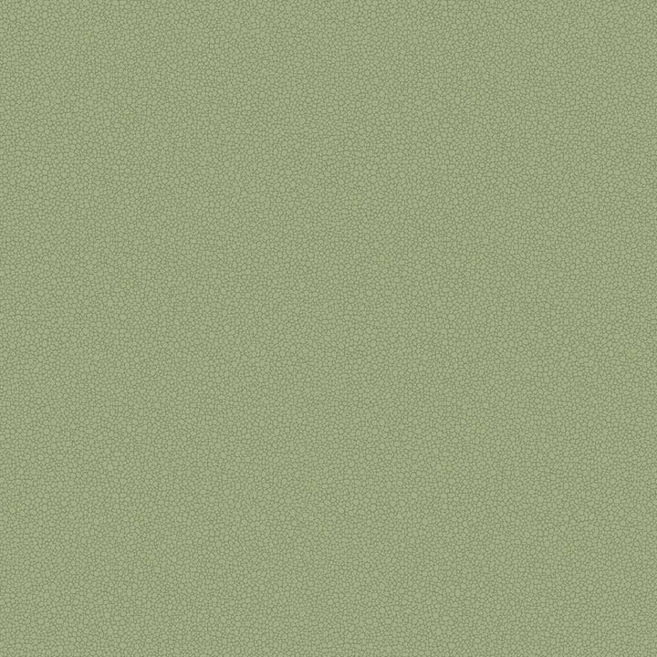 Pebble-Behang-Tapete-Cole & Son-Old Olive-Rol-106/2026-Selected Wallpapers