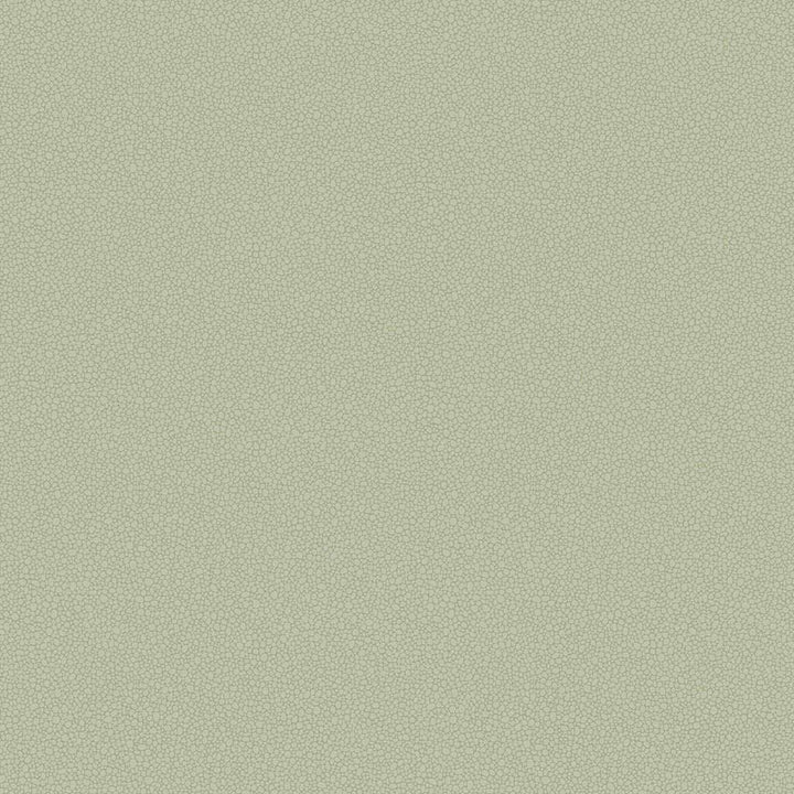 Pebble-Behang-Tapete-Cole & Son-Soft Olive-Rol-106/2027-Selected Wallpapers
