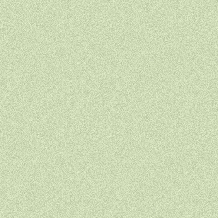 Pebble-Behang-Tapete-Cole & Son-Duck Egg-Rol-106/2028-Selected Wallpapers