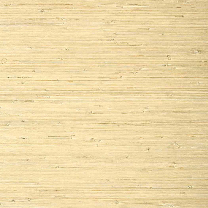 Raffia Palm-Behang-Tapete-Thibaut-Natural-Rol-T24065-Selected Wallpapers